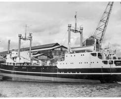 Bouwnummer 31: 'Trito' 1953 - De laatste puntjes worden bijgewerkt in de Gustohaven voor aflevering van het schip aan de klant.